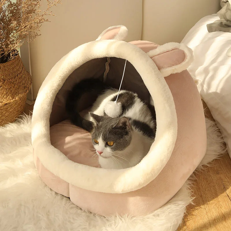 Lit pour chat à sommeil profond, lit pour animaux de compagnie en dessin animé, lit pour animaux de compagnie pliable, amovible et lavable, pour petit chien, tapis, sac, grotte, lit pour chats